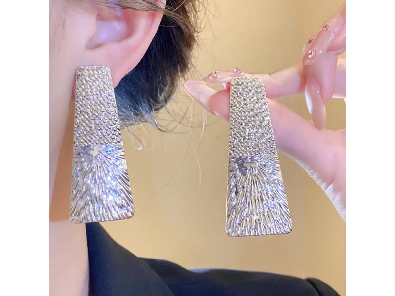 Σκουλαρίκια Silver Statement Wide