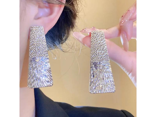 Σκουλαρίκια Silver Statement Wide