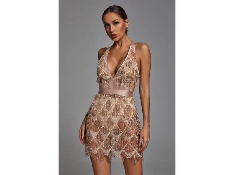 Mini Φόρεμα με Διάφανες Λεπτομέρειες και Κεντήματα